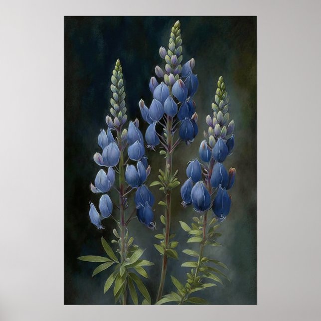 Blue Lupine Flower Art Print Poster (Front)