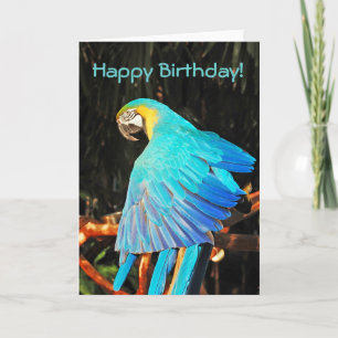 Blue macaw parrot birthday greeting card