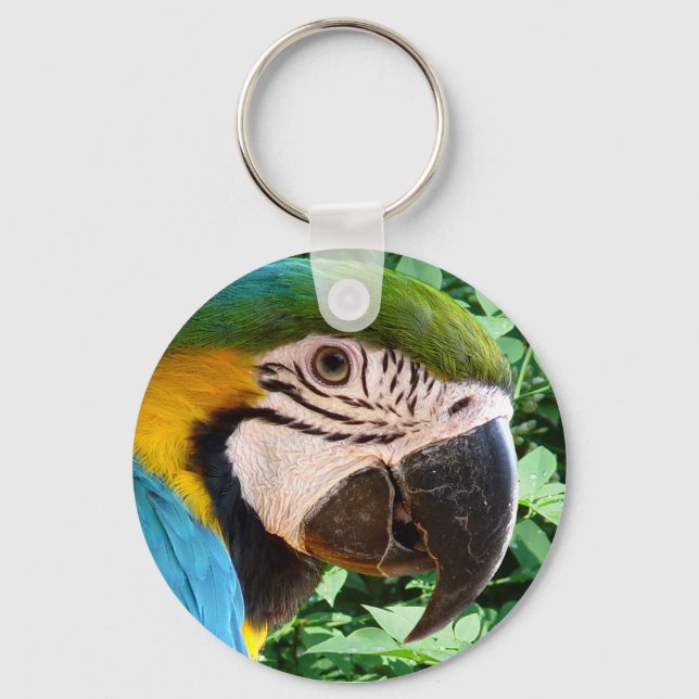 Blue Macaw Parrot Keychain (Front)