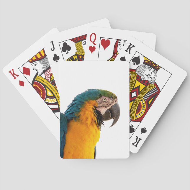 Blue macaw parrot  playing cards (Back)