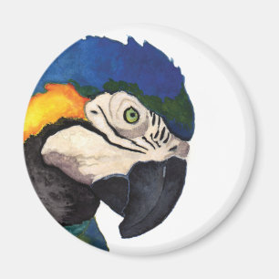 Blue Macaw Portrait Magnet