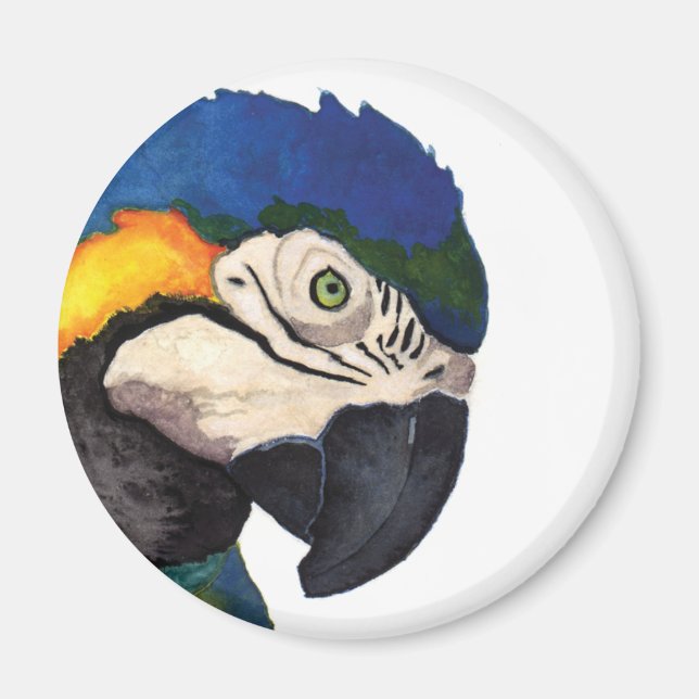 Blue Macaw Portrait Magnet (Front)