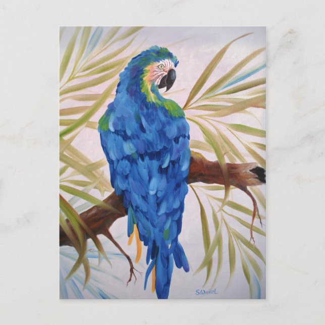 Blue Macaw Post Card (Front)