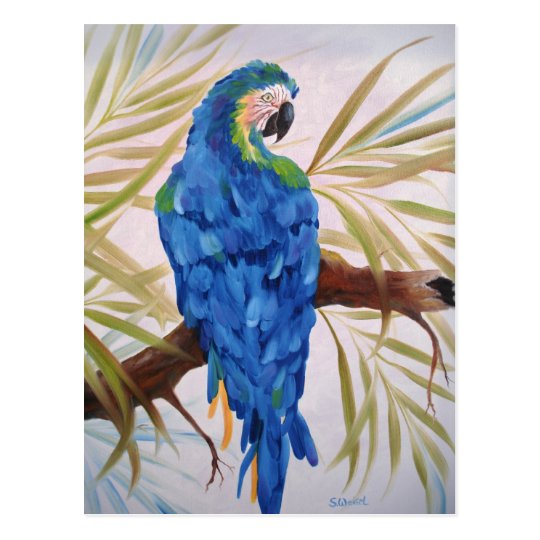Blue Macaw Post Card