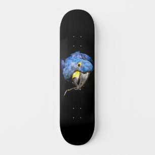 Blue Macaw Skateboard