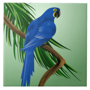 Blue Macaw Tile