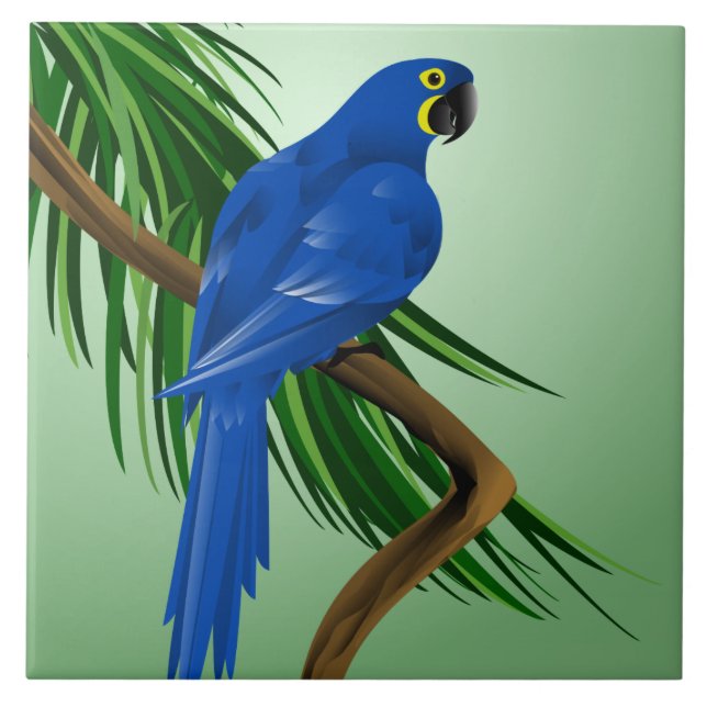 Blue Macaw Tile (Front)