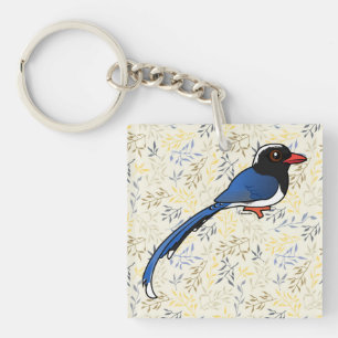 Blue-Magpie à bec rouge