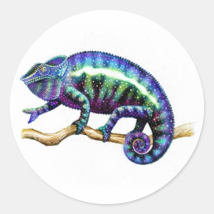 Blue Male Panther Chameleon Stickers