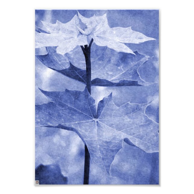 Blue Maple Leaf Photo Print (Front)