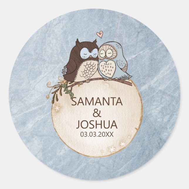 Blue Marble Stone And Owls Classic Round Sticker (Front)