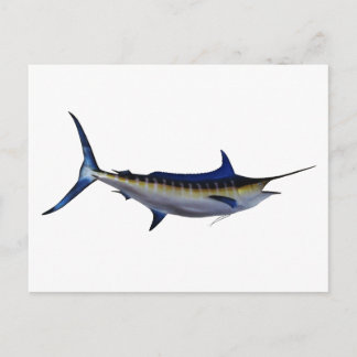 Blue Marlin Fish Postcard
