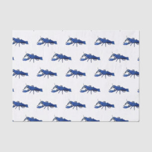 Blue marron crayfish cartoon illustration tissue paper