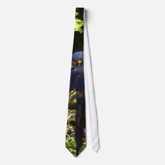 Blue McCaw Tie