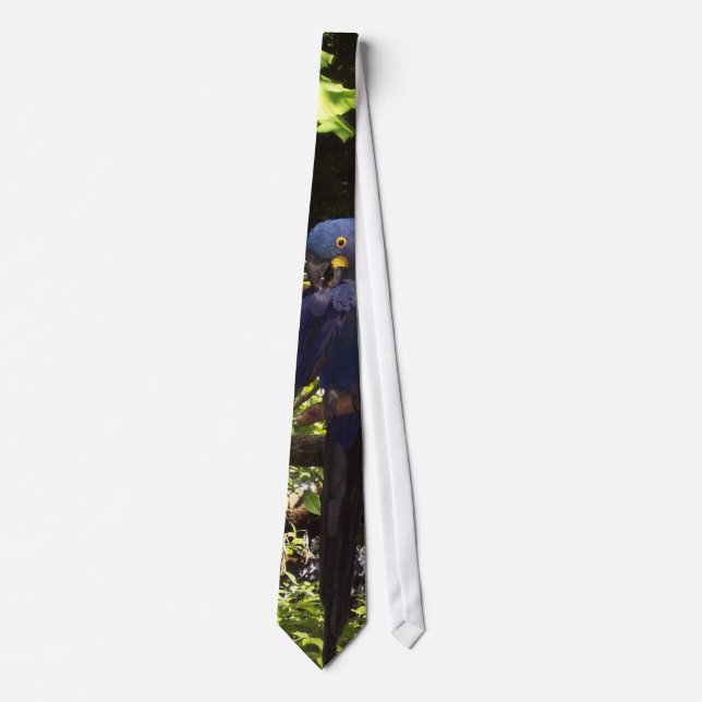Blue McCaw Tie (Front)