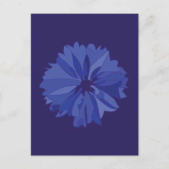 Blue Meadow Cornflower Floral Pattern Postcard (Front)