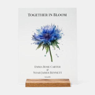 Blue Meadow Magic: Watercolor Cornflower Art  Acrylic Sign