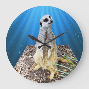 Blue Meerkat Night,_Large Round Wall Clock. Large Clock