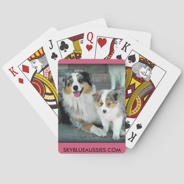 Blue Merle Aussie Cards (Back)