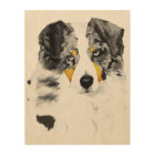 Blue Merle Aussie Dog 8"x8" Wood Photo Print