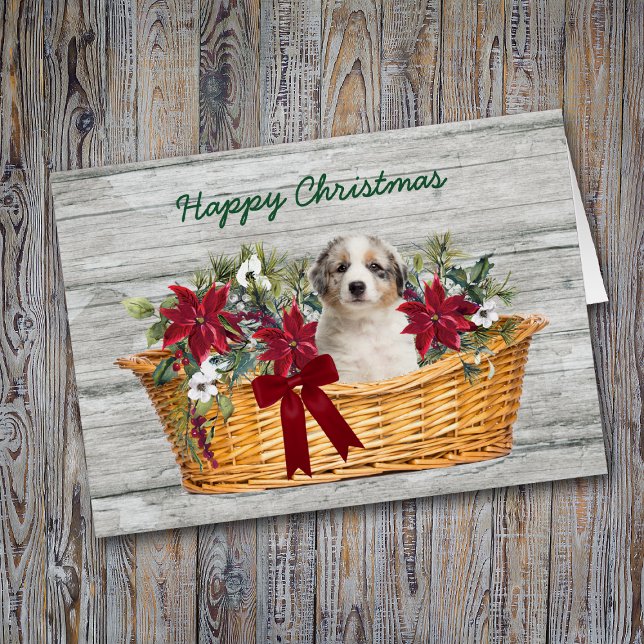 Blue Merle Aussie Puppy in Basket Christmas Card (Creator Uploaded)