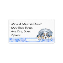 Blue Merle Aussie Puppy on Blue Gingham