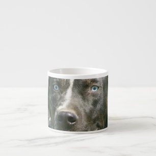 blue merle catahoula.png espresso cup