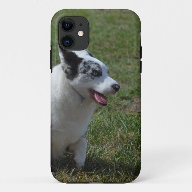 Blue Merle Corgi Dog Case-Mate iPhone Case (Back)