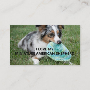 Blue_Merle_Miniature_American_Shepherd love w pict Business Card