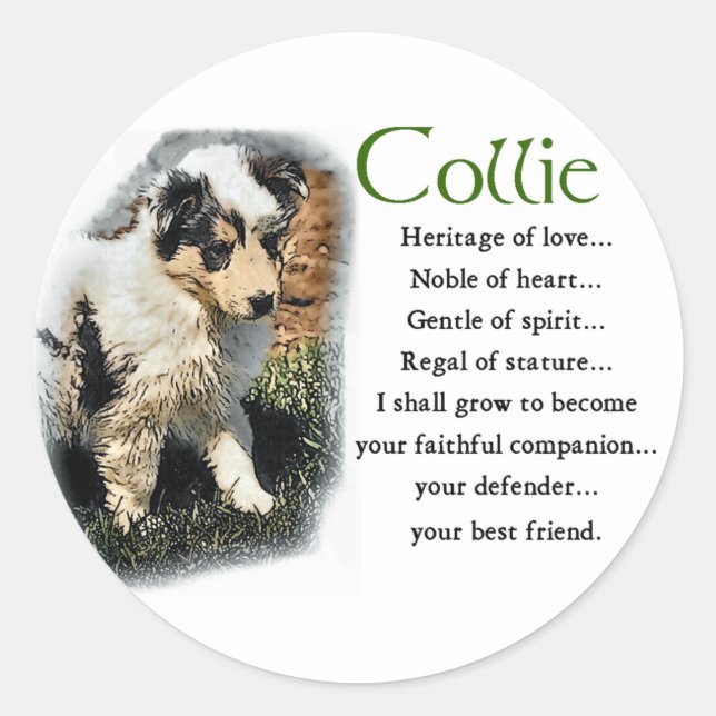 Blue Merle Rough Collie Gifts Classic Round Sticker (Front)
