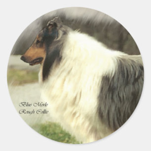 Blue Merle Rough Collie Gifts Classic Round Sticker