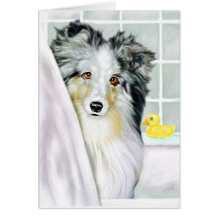 Blue Merle Sheltie Bath