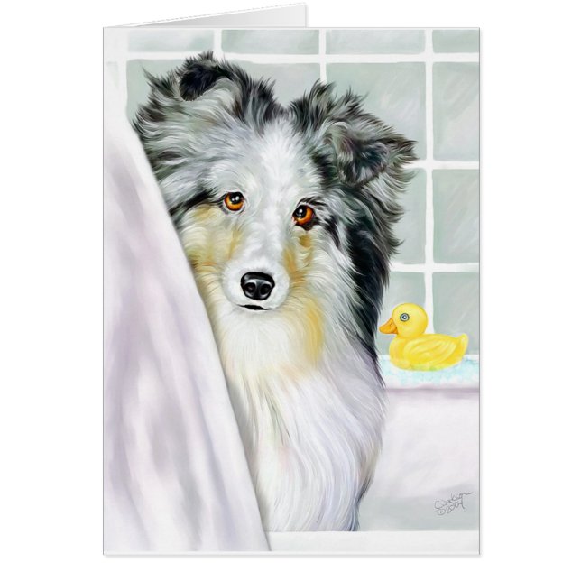 Blue Merle Sheltie Bath (Front)