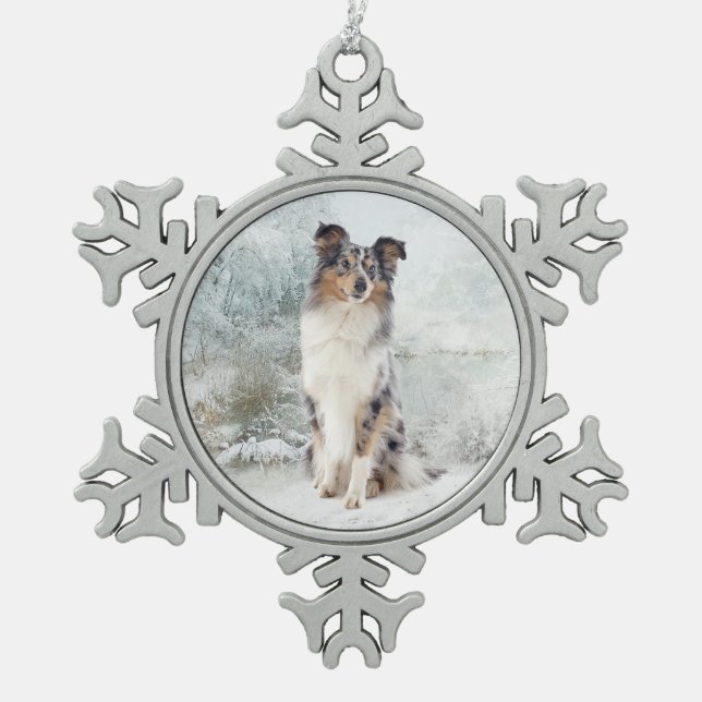 Blue Merle Sheltie Christmas Ornament (Front)