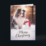 Blue Merle Sheltie Christmas Snowman Holiday Card<br><div class="desc">A peaceful winter holiday scene featuring a beautiful Blue Merle Shetland Sheepdog sitting in fresh snow beside a cheerful little snowman wrapped in a bright red scarf. Soft golden winter light and gently falling snow create a magical seasonal moment that highlights the striking coat pattern and gentle expression Shelties are...</div>