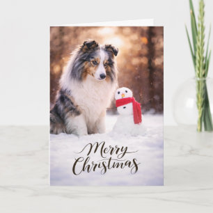 Blue Merle Sheltie Christmas Snowman Holiday Card