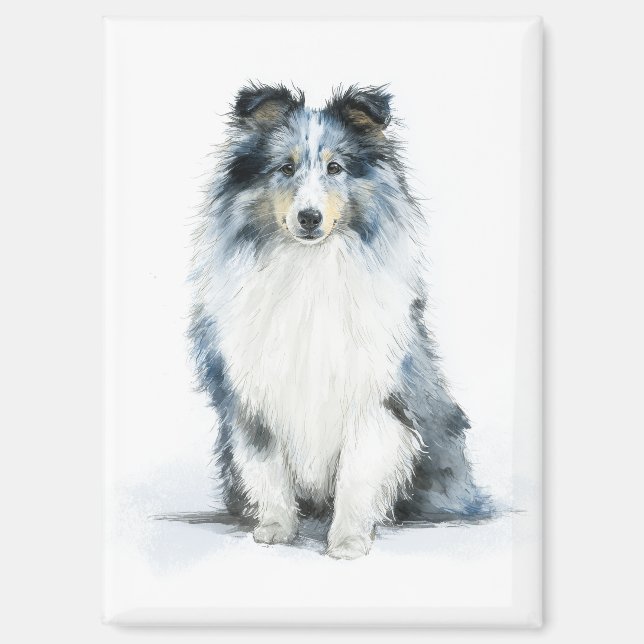 BLUE MERLE Shetland Sheepdog Watercolor Art Magnet (Front)