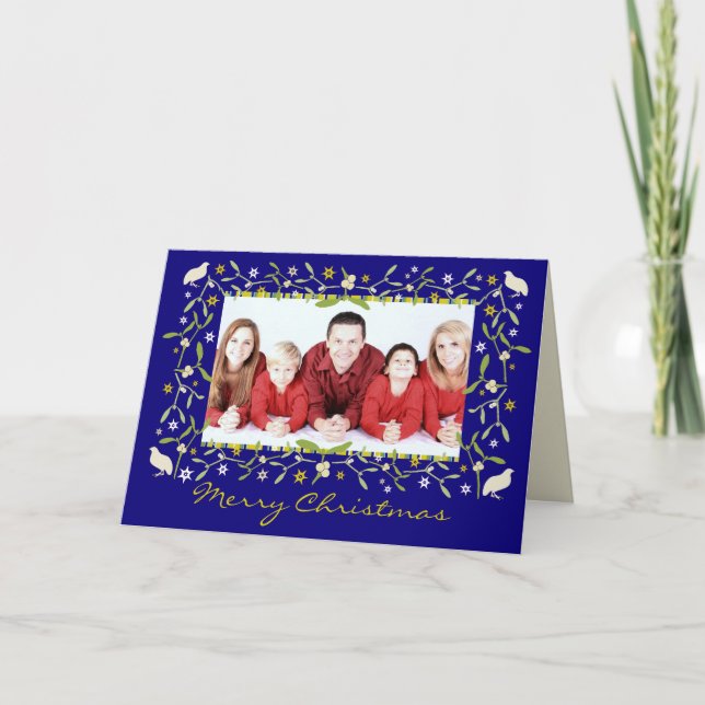 Blue mistletoe and stars custom photo christmas holiday card (Front)