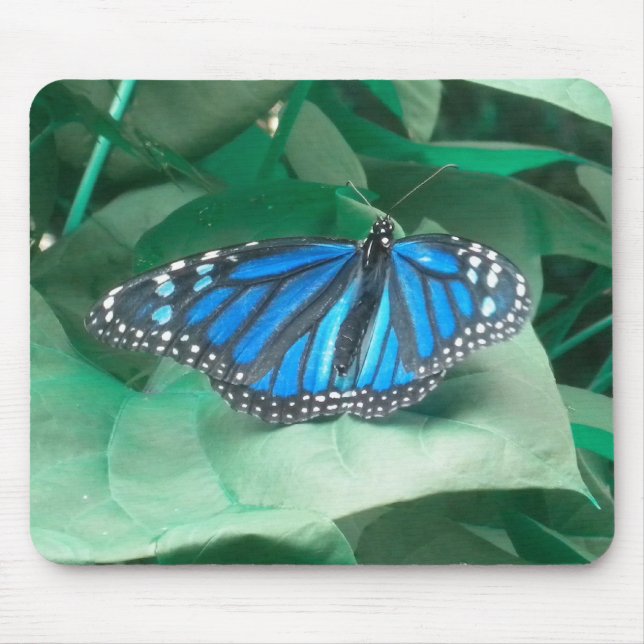 Blue Monarch Butterfly mouse pad (Front)