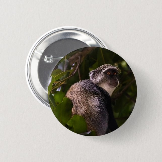 Blue monkey, Zanzibar 2 Inch Round Button (Front & Back)