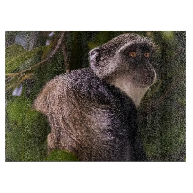 Blue monkey, Zanzibar Cutting Board (Front)