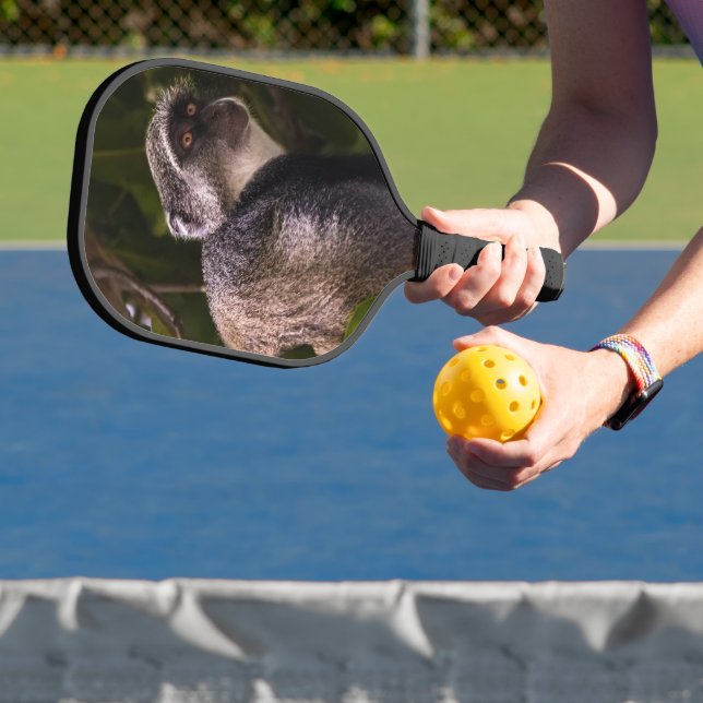 Blue monkey, Zanzibar Pickleball Paddle (Insitu)