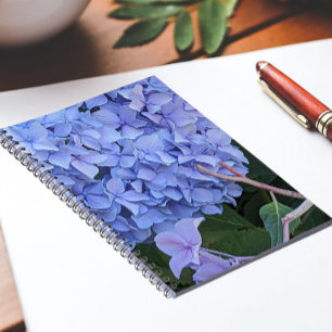 Blue Mophead Hydrangea Bloom Floral Notebook