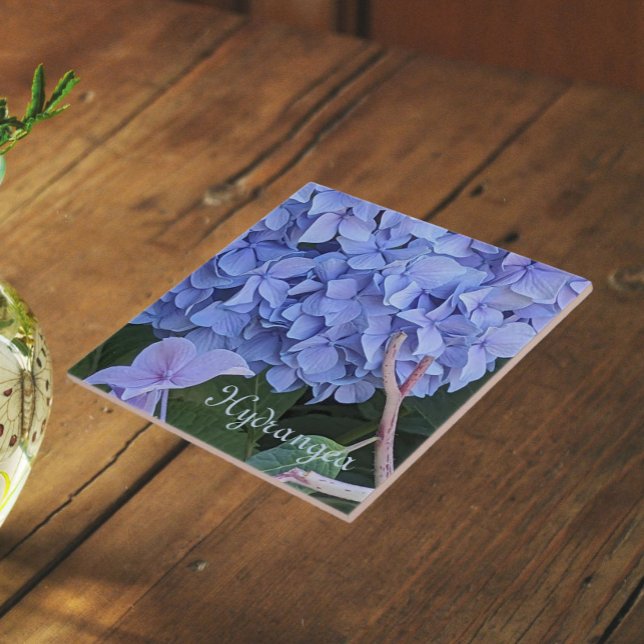 Blue Mophead Hydrangea Bloom Floral Tile (In Situ)