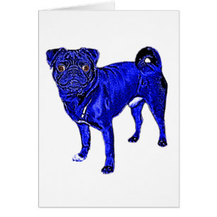 Blue mops