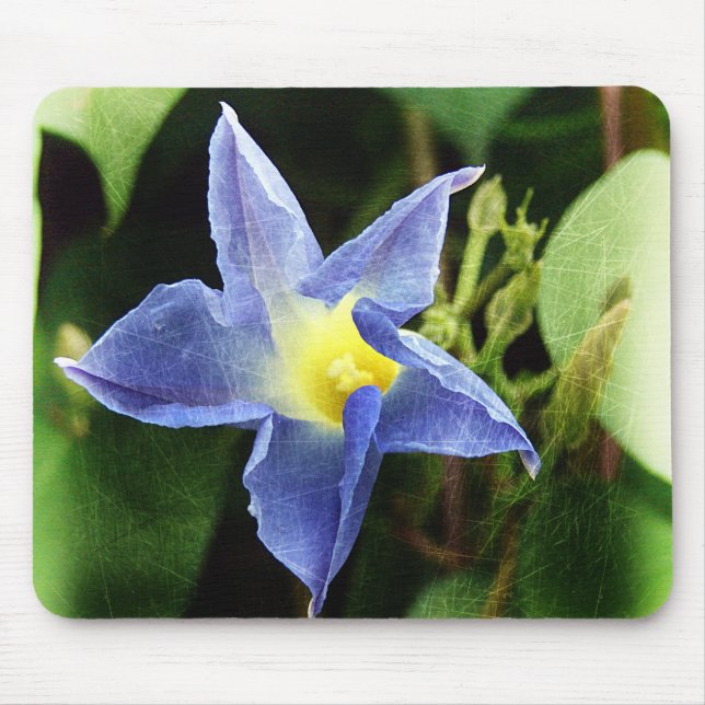Blue Morning Glory Flower Mouse Pad (Front)