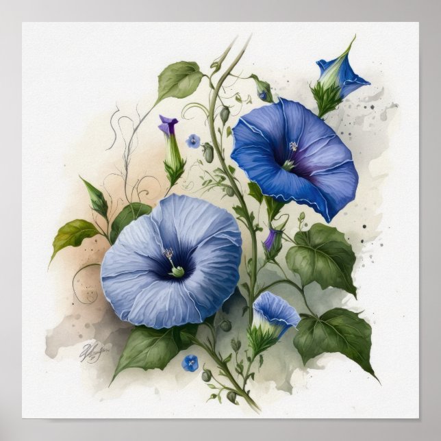 Blue Morning Glory Flowers Art Print Poster (Devant)