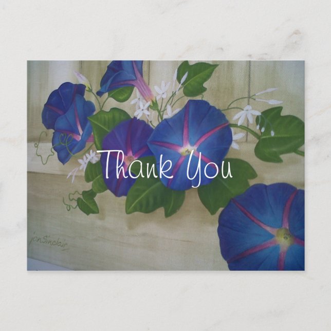 Blue Morning Glory Flowers Thank You Postcard (Front)