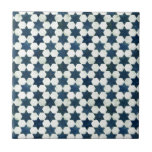 Blue Moroccan Star Pattern Tile<br><div class="desc">Blue and white Moroccan star pattern. High quality, high resolution.</div>
