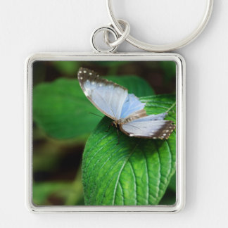 Blue Morpho 112 Keychain